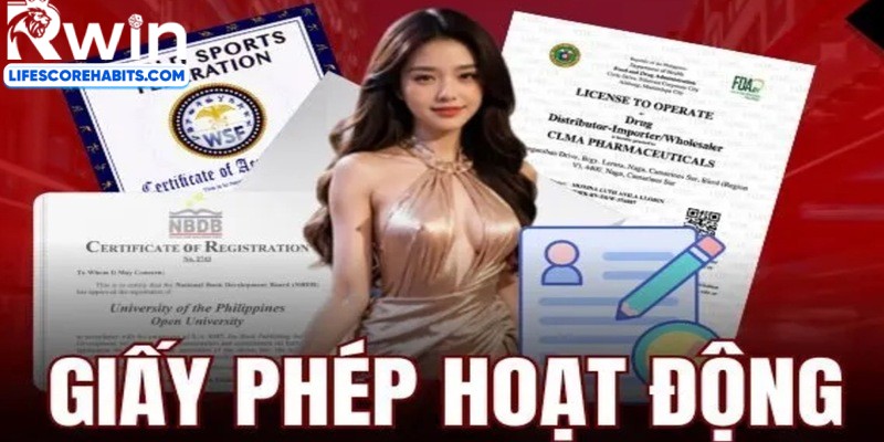 Tầm ảnh hưởng của giấy phép đối với người chơi